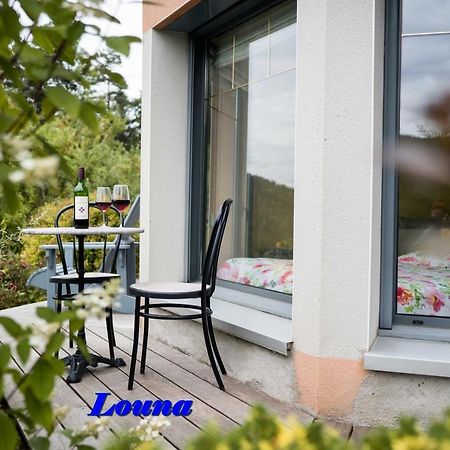 Appartements 5 Personnes Maya Et Louna Xonrupt-Longemer Kültér fotó