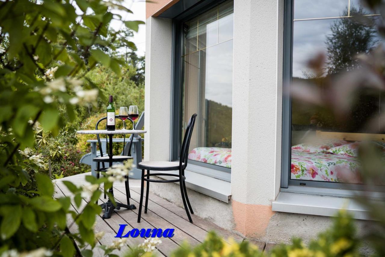 Appartements 5 Personnes Maya Et Louna Xonrupt-Longemer Kültér fotó