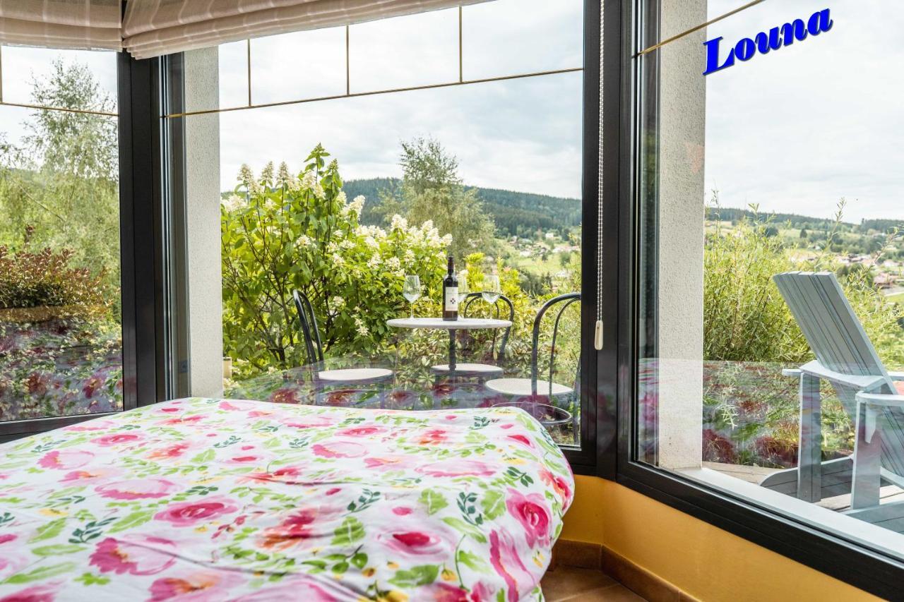Appartements 5 Personnes Maya Et Louna Xonrupt-Longemer Kültér fotó