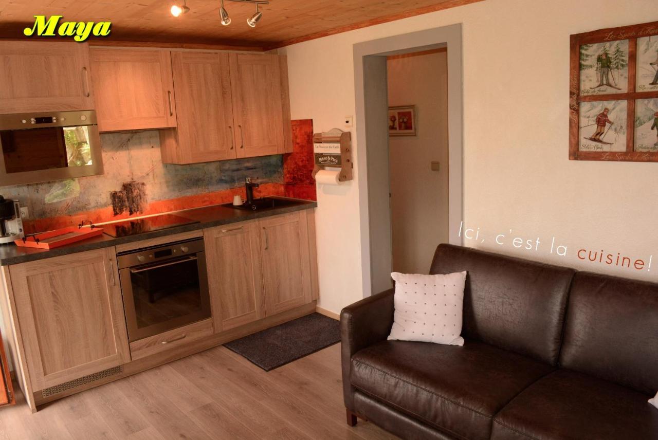 Appartements 5 Personnes Maya Et Louna Xonrupt-Longemer Kültér fotó
