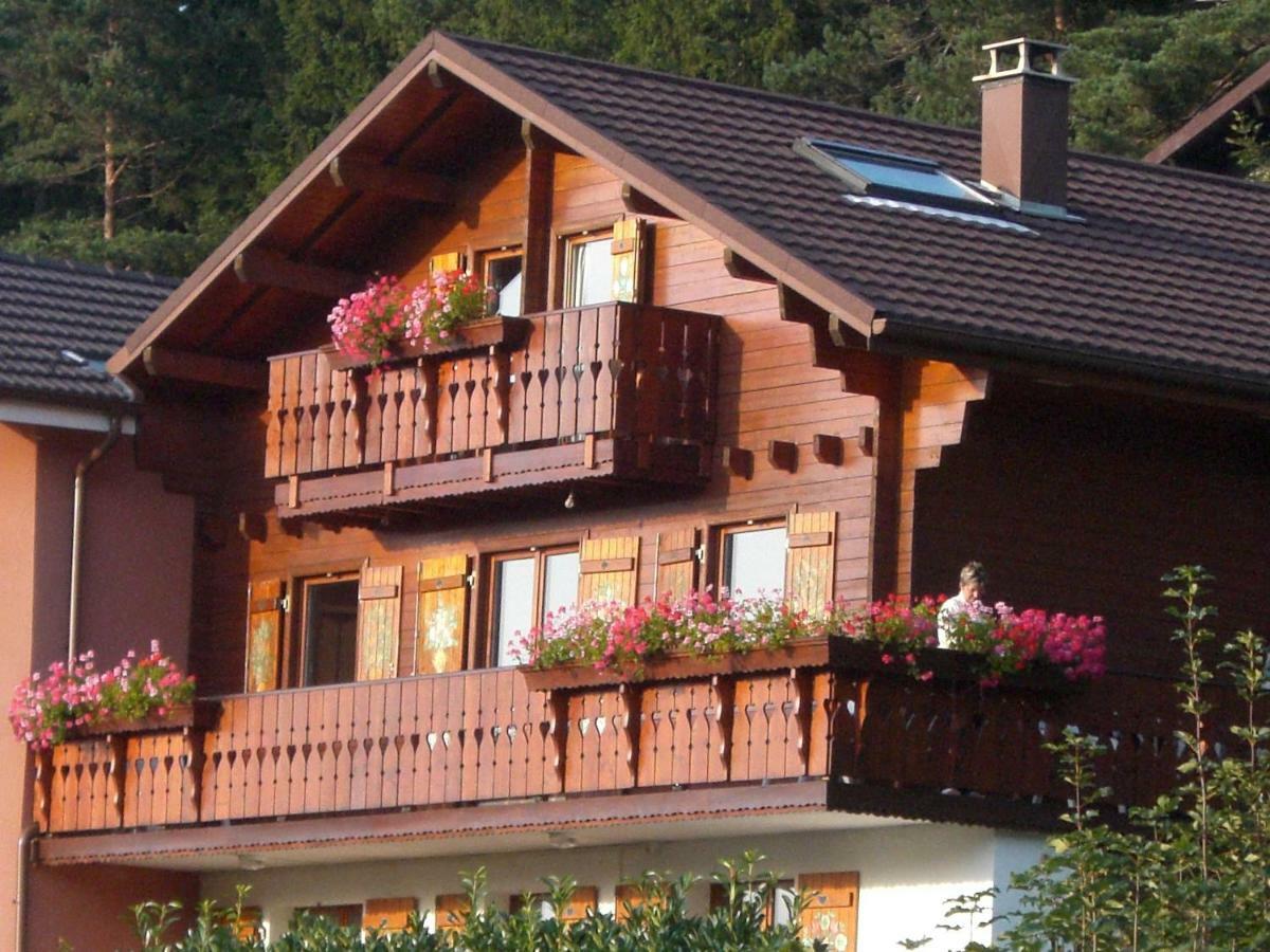 Appartements 5 Personnes Maya Et Louna Xonrupt-Longemer Kültér fotó