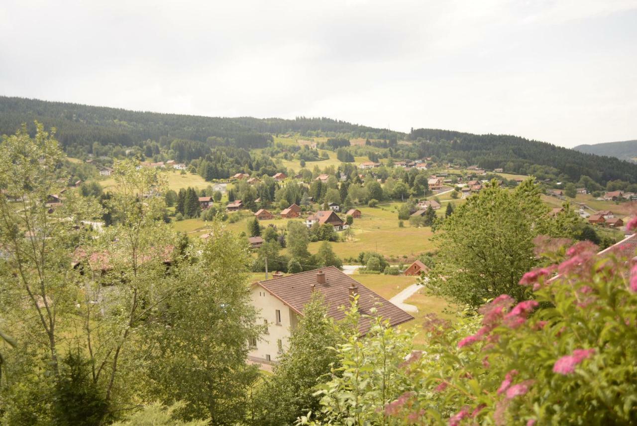 Appartements 5 Personnes Maya Et Louna Xonrupt-Longemer Kültér fotó