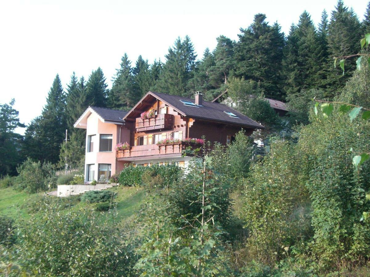 Appartements 5 Personnes Maya Et Louna Xonrupt-Longemer Kültér fotó