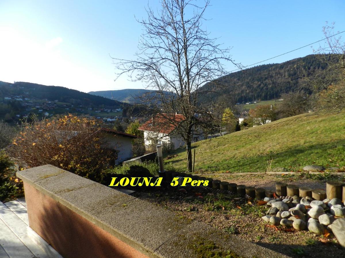 Appartements 5 Personnes Maya Et Louna Xonrupt-Longemer Kültér fotó